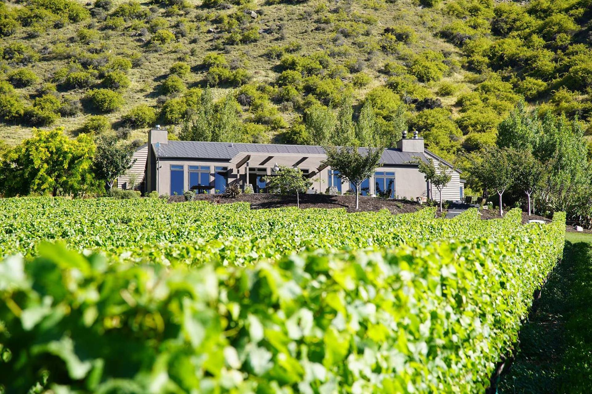 Mt Rosa Lodge Boutique Vineyard Accommodation Ванака Экстерьер фото